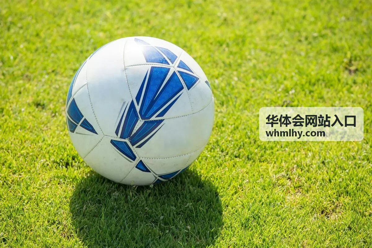 华体会网站入口常见提示处理说明配图